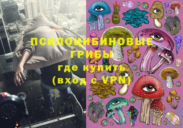 героин Алексин